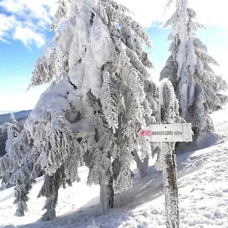 Interferie Aquapark Sport Malachit