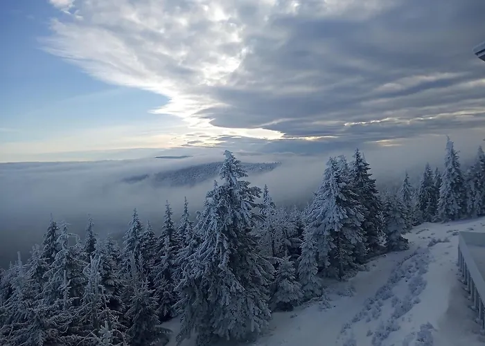 Interferie Aquapark Sport Malachit 3* Świeradów-Zdrój