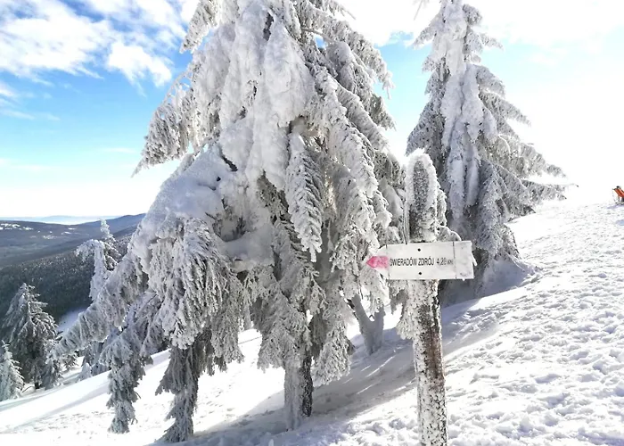 Interferie Aquapark Sport Malachit